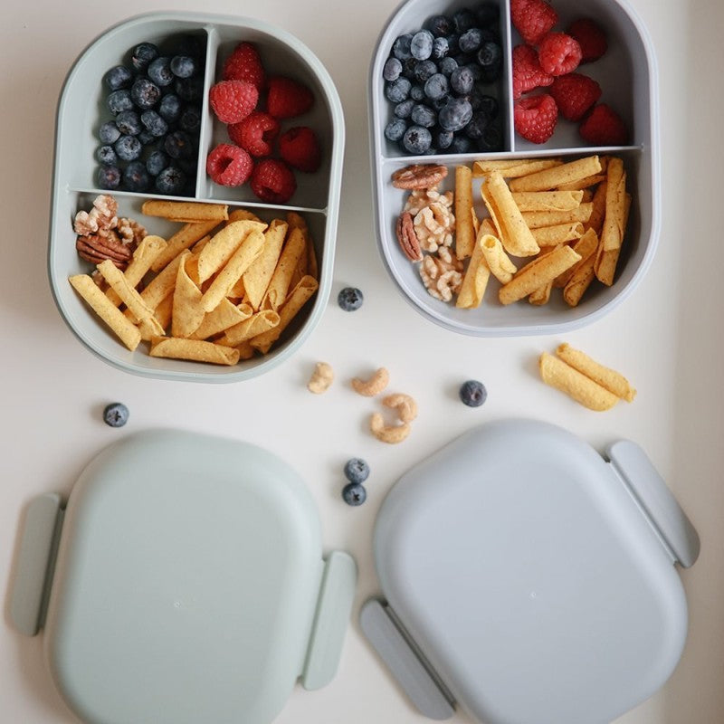 Caja de almuerzo